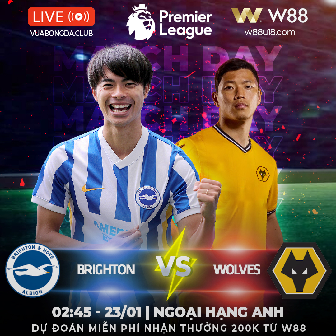 You are currently viewing [W88 – MINIGAME] BRIGHTON VS WOLVES | NGOẠI HẠNG ANH | SÂN AMEX NGẬP TRÀN BÀN THẮNG