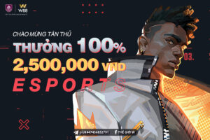 Read more about the article THƯỞNG 100% CHÀO MỪNG LÊN TỚI 2,500 VND TẠI ESPORTS